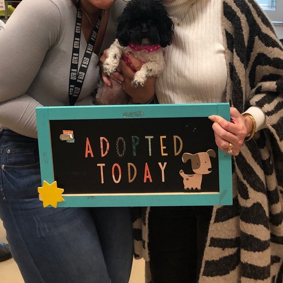 Meet your Posher and Posh Ambassador, Lynn - Picture 1 of 8